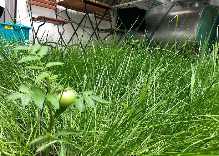 Earth, Comfy Near Center W Garden 1gbwifi Appartamento